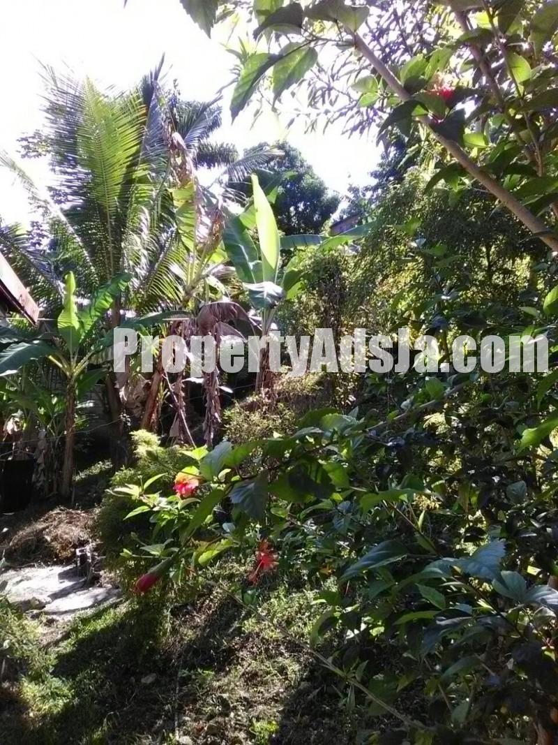 House For Sale in Buff Bay, Portland Jamaica