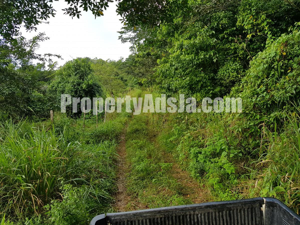 Commercial/farm land For Sale in Carton Estate Off road leading from