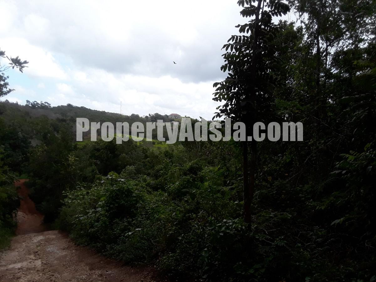 Residential lot For Sale in Cross Keys Manchester, Manchester Jamaica