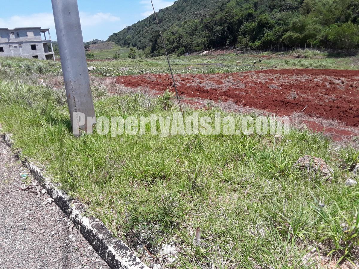 Residential lot For Sale in Southfield, St. Elizabeth Jamaica