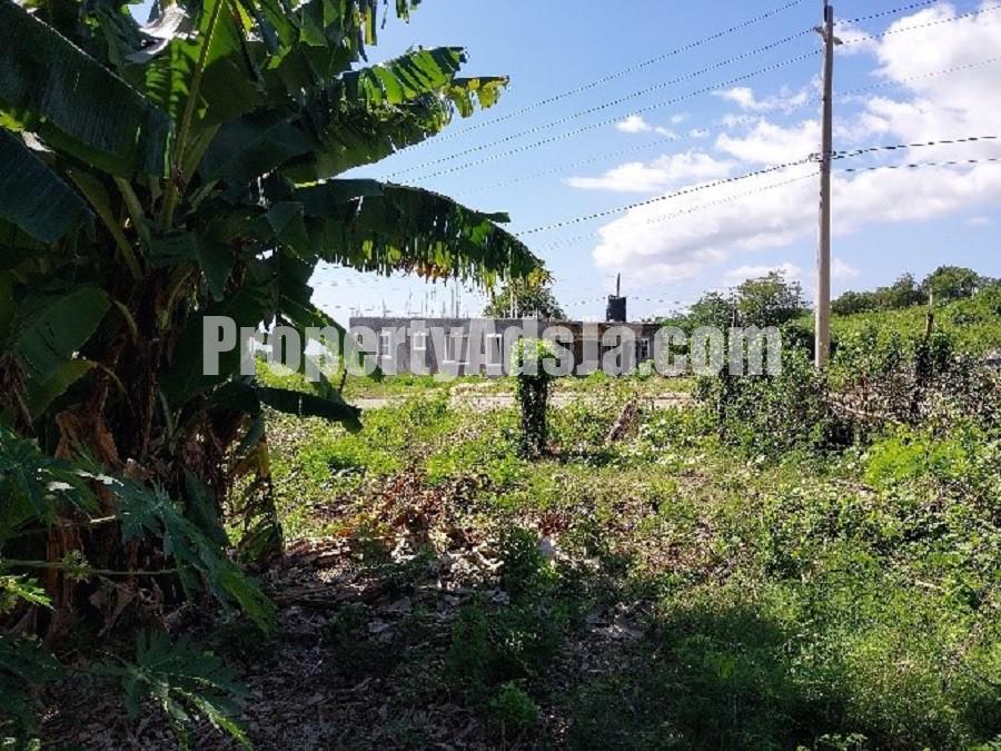 Residential lot For Sale in Phamphery, St. Thomas Jamaica