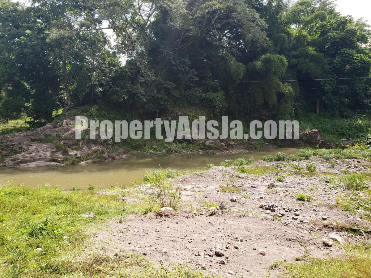 Land For Sale in Frankfield, Clarendon Jamaica