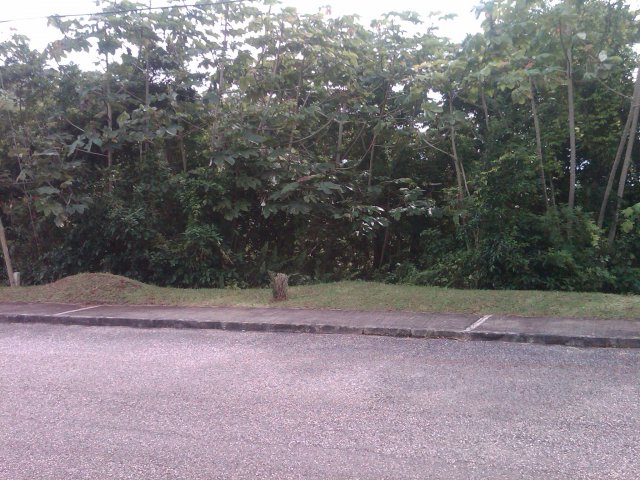 Residential lot For Sale in Moorlands Estate Mandeville ...