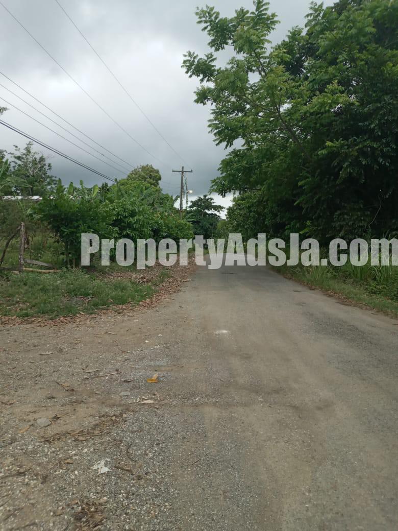 Commercial/farm land For Sale in Islington, St. Mary Jamaica