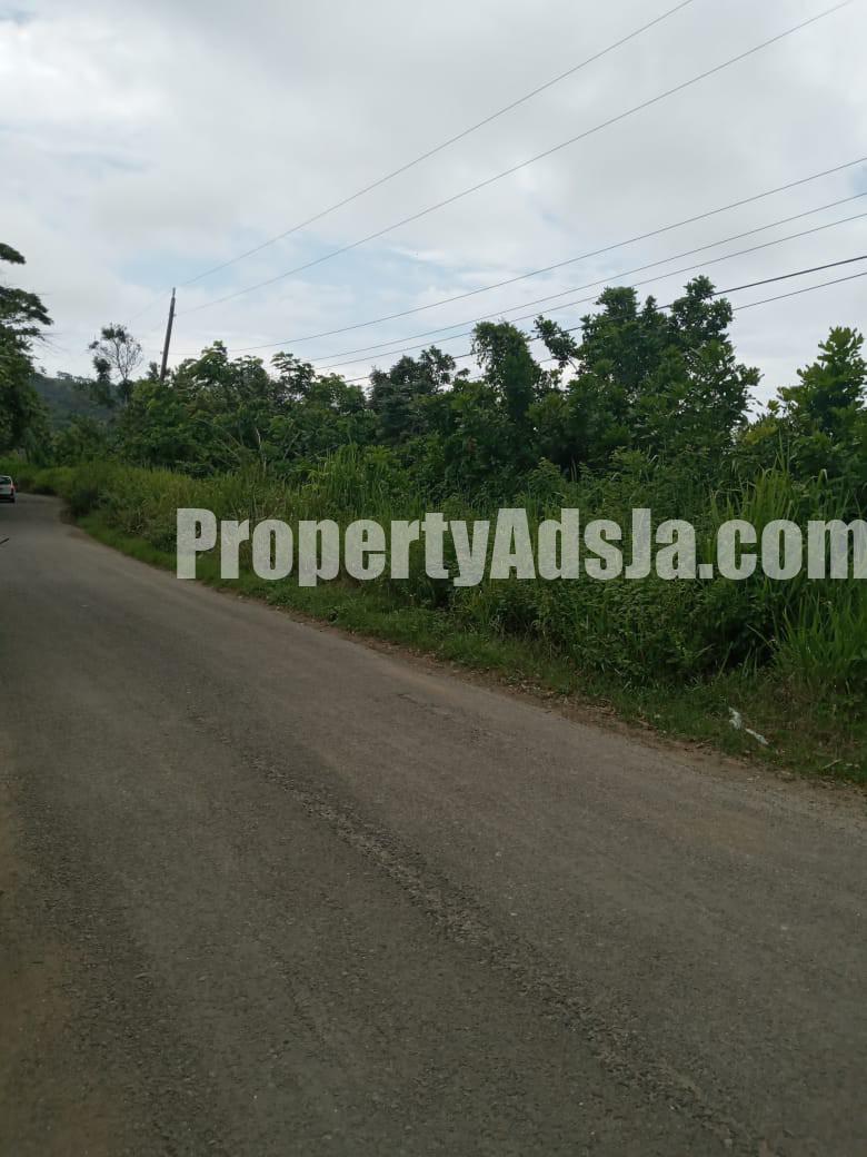 Commercial/farm land For Sale in Islington, St. Mary Jamaica