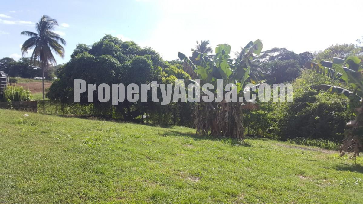 Commercial/farm land For Sale in Linstead, St. Catherine Jamaica
