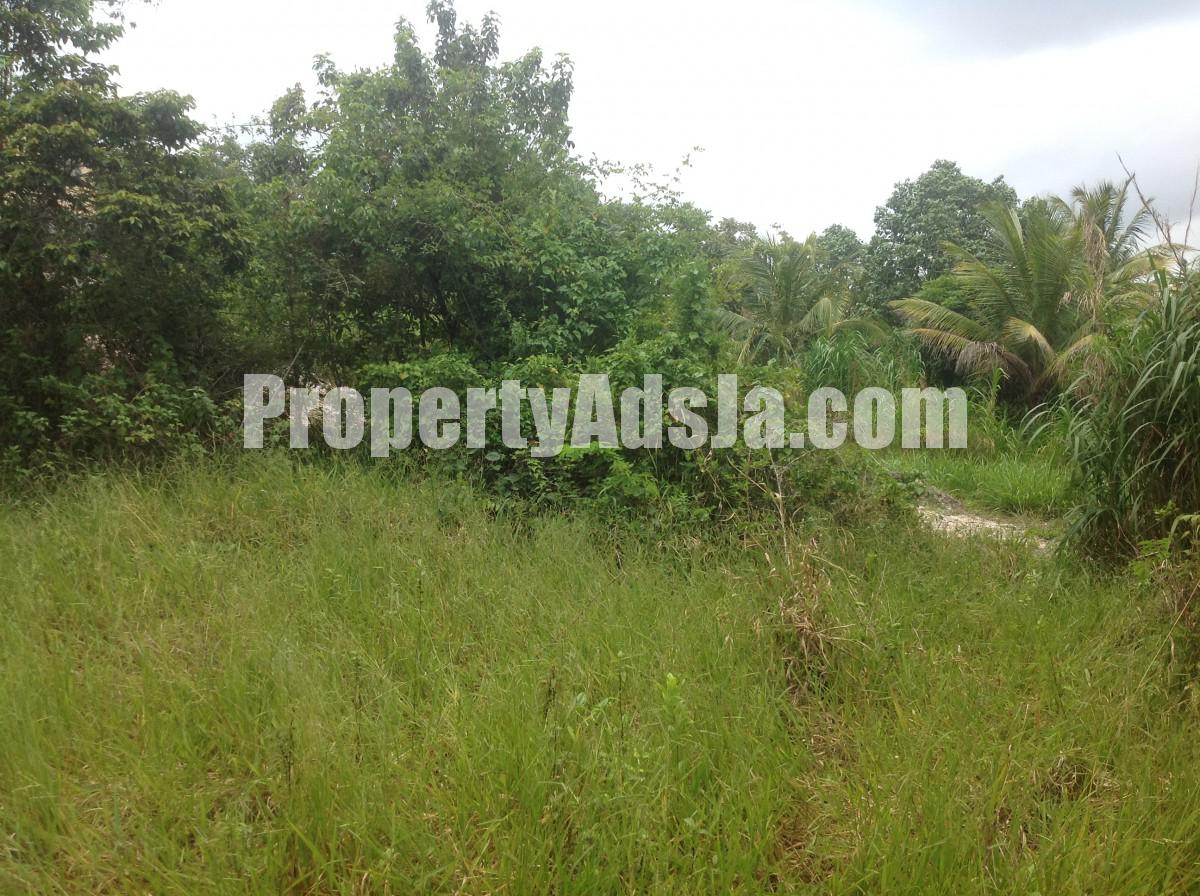 Residential lot For Sale in Mandeville, Manchester Jamaica