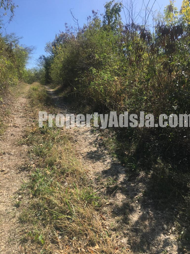 Residential lot For Sale in Yallahs, St. Thomas Jamaica