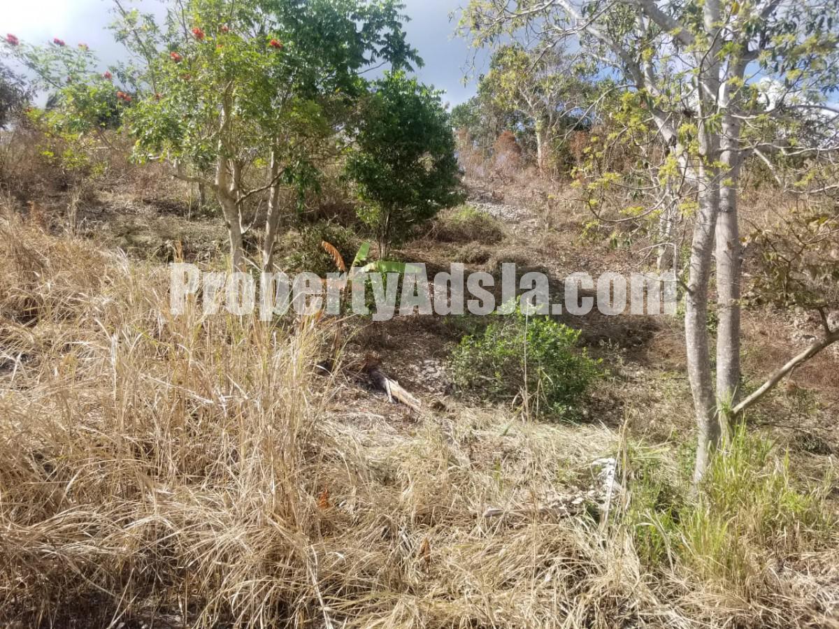 Residential lot For Sale in Rock Hall, Kingston / St. Andrew Jamaica