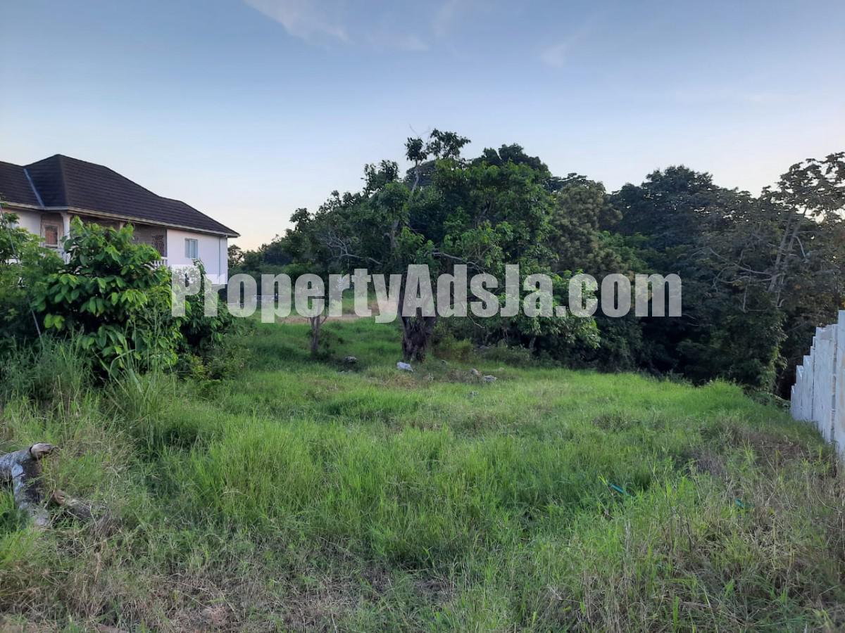 Residential lot For Sale in 6 Waltham Mandeville, Manchester Jamaica