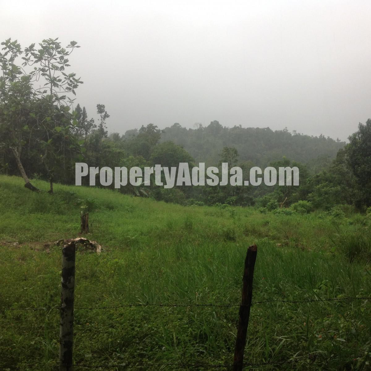 Residential lot For Sale in Claremont, St. Ann Jamaica