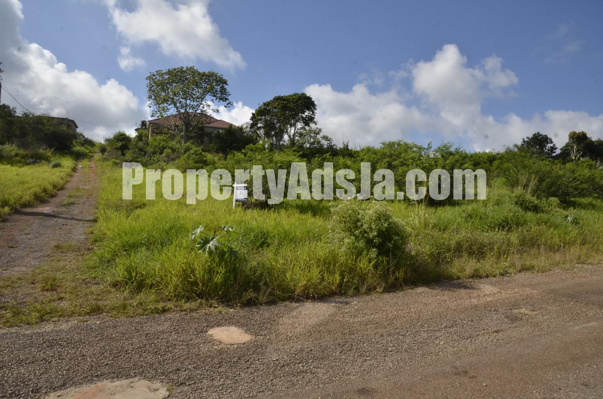 Residential lot For Sale in Mandeville, Manchester Jamaica