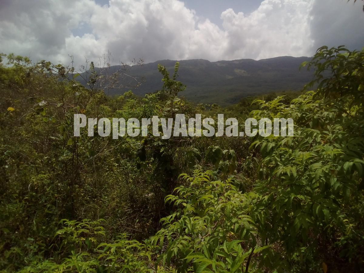 Residential lot For Sale in Goshen Santa Cruz, St. Elizabeth Jamaica