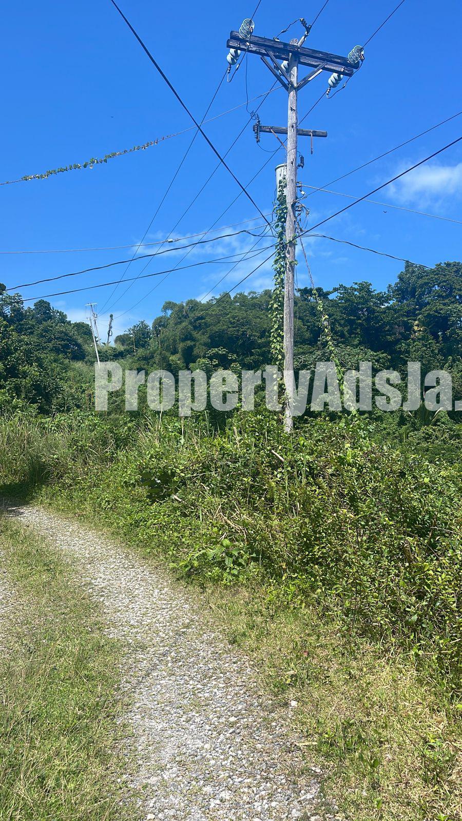 Land For Sale in Port Antonio, Portland Jamaica