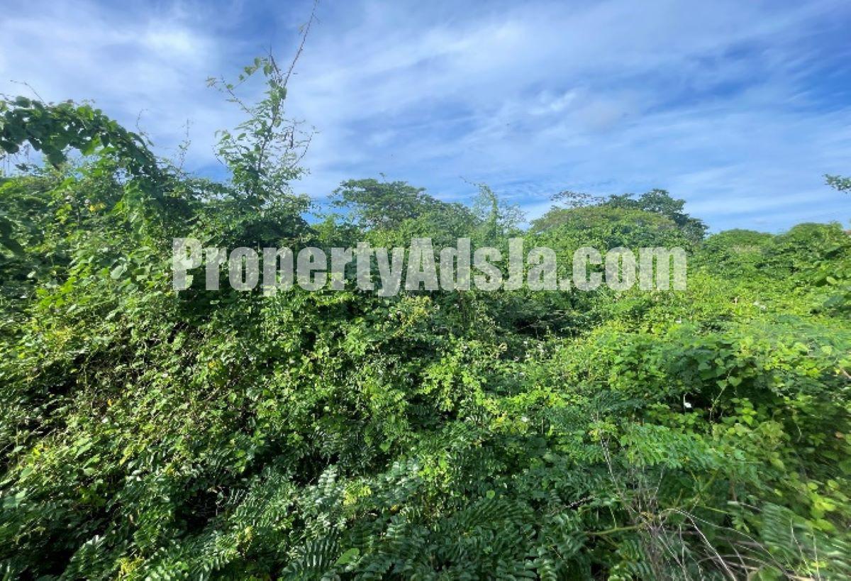 Residential lot For Sale in Galina, St. Mary Jamaica