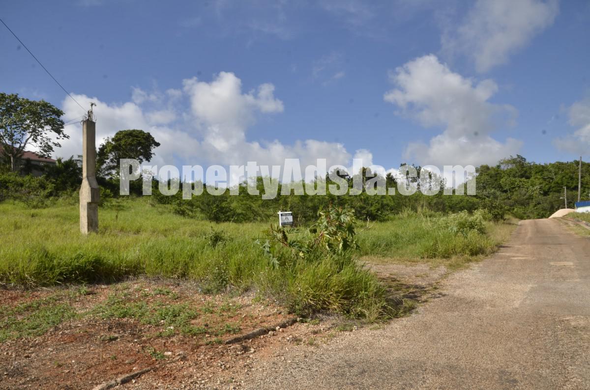 Residential lot For Sale in Mandeville, Manchester Jamaica