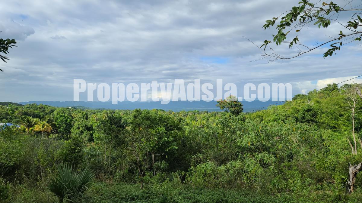 House For Sale in Leeds, St. Elizabeth Jamaica