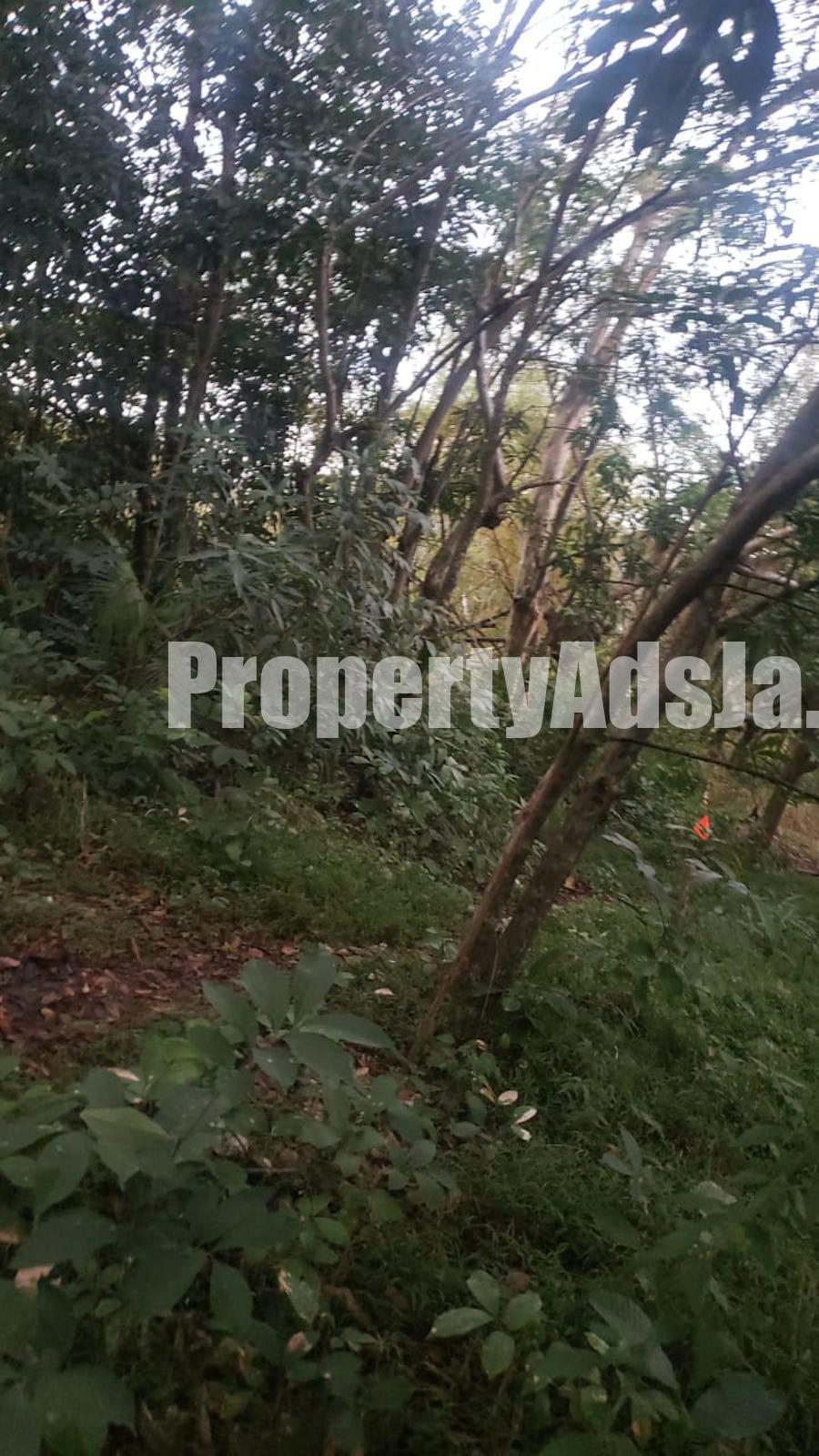 Residential lot For Sale in Spanish Town, St. Catherine Jamaica