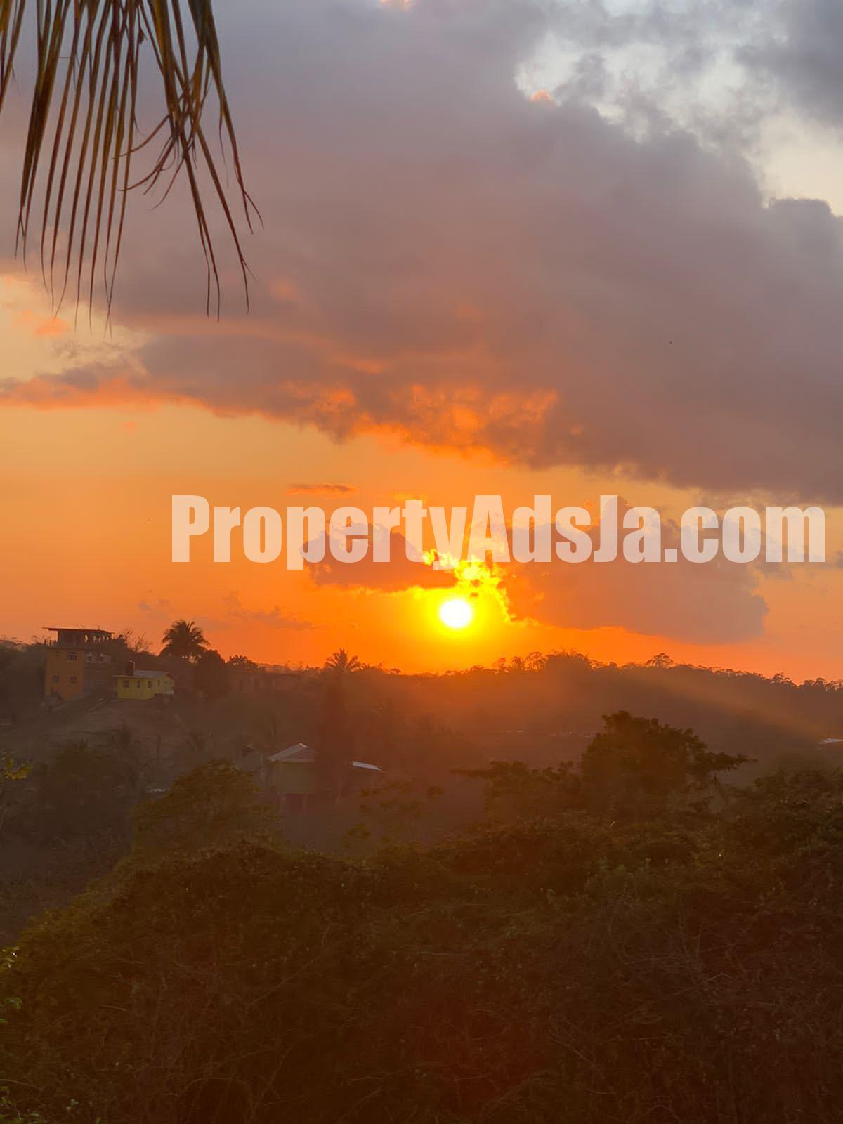 Commercial/farm land For Sale in GREEN ISLAND, Hanover Jamaica