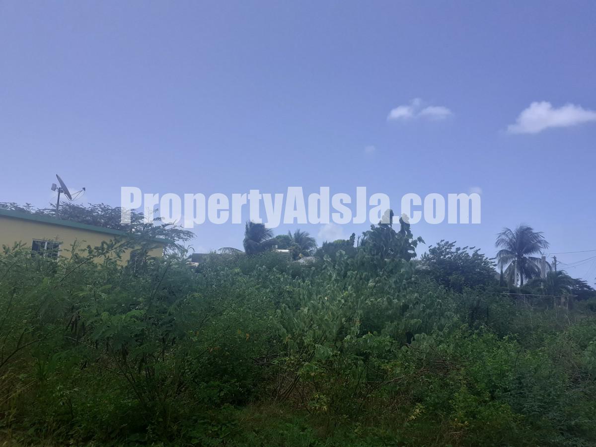 Residential lot For Sale in Milk River, Clarendon Jamaica