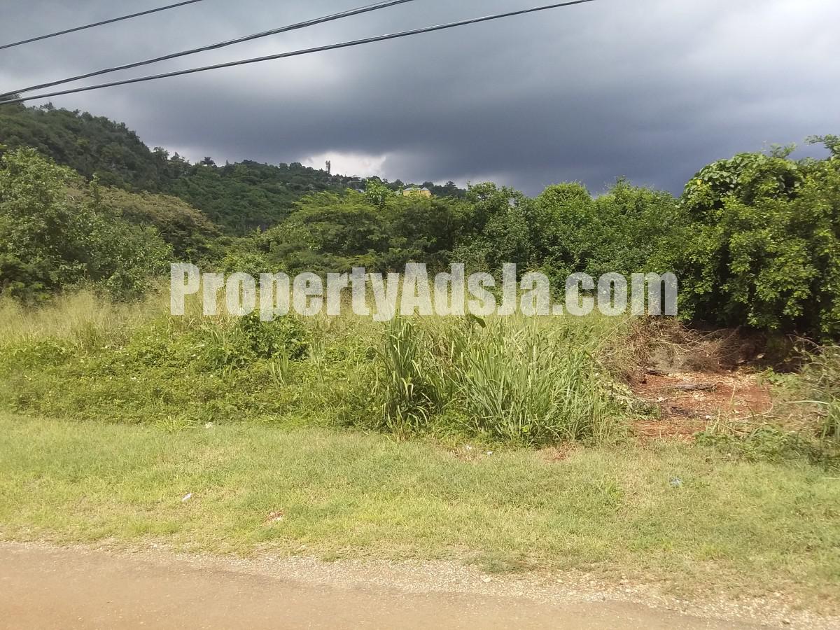 Commercial/farm land For Sale in Forrest Hills, Kingston / St. Andrew