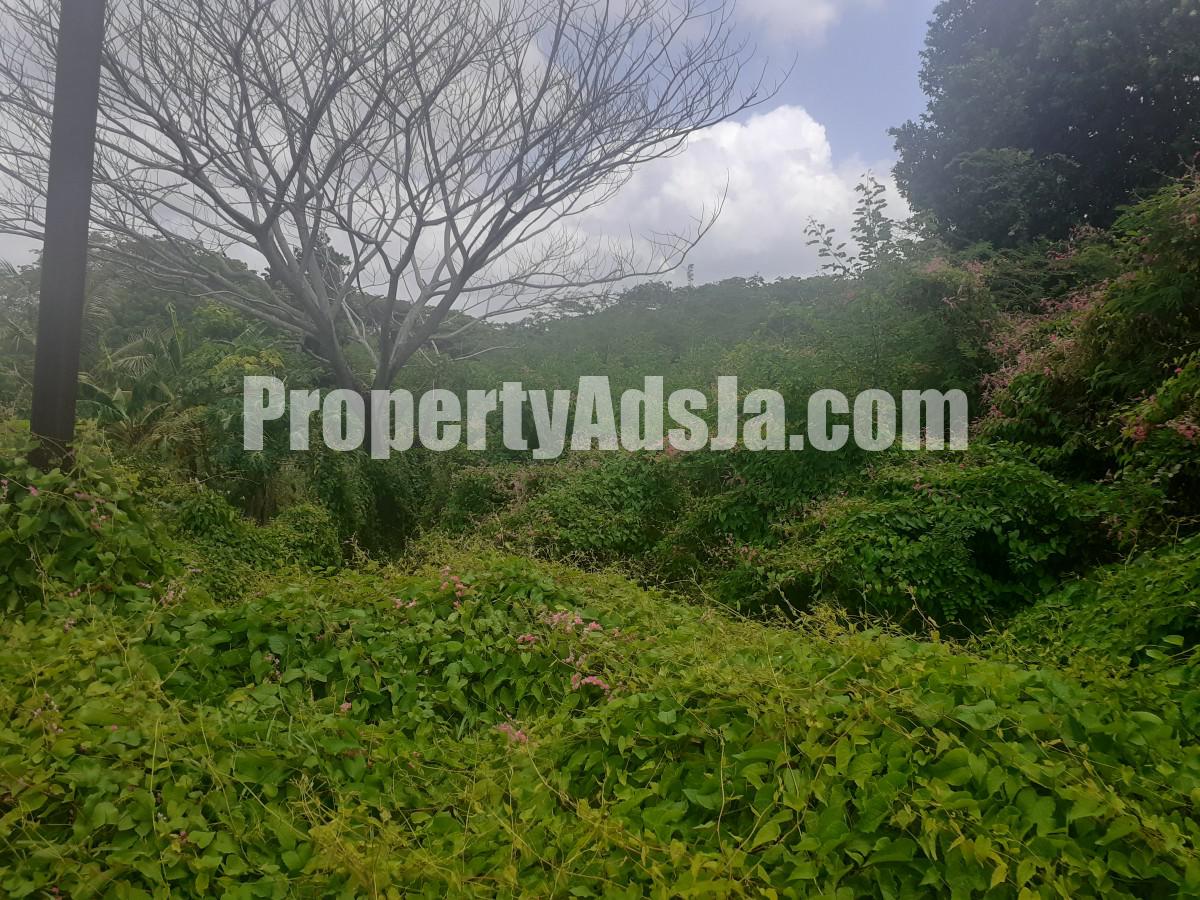 Residential lot For Sale in Milk River, Clarendon Jamaica