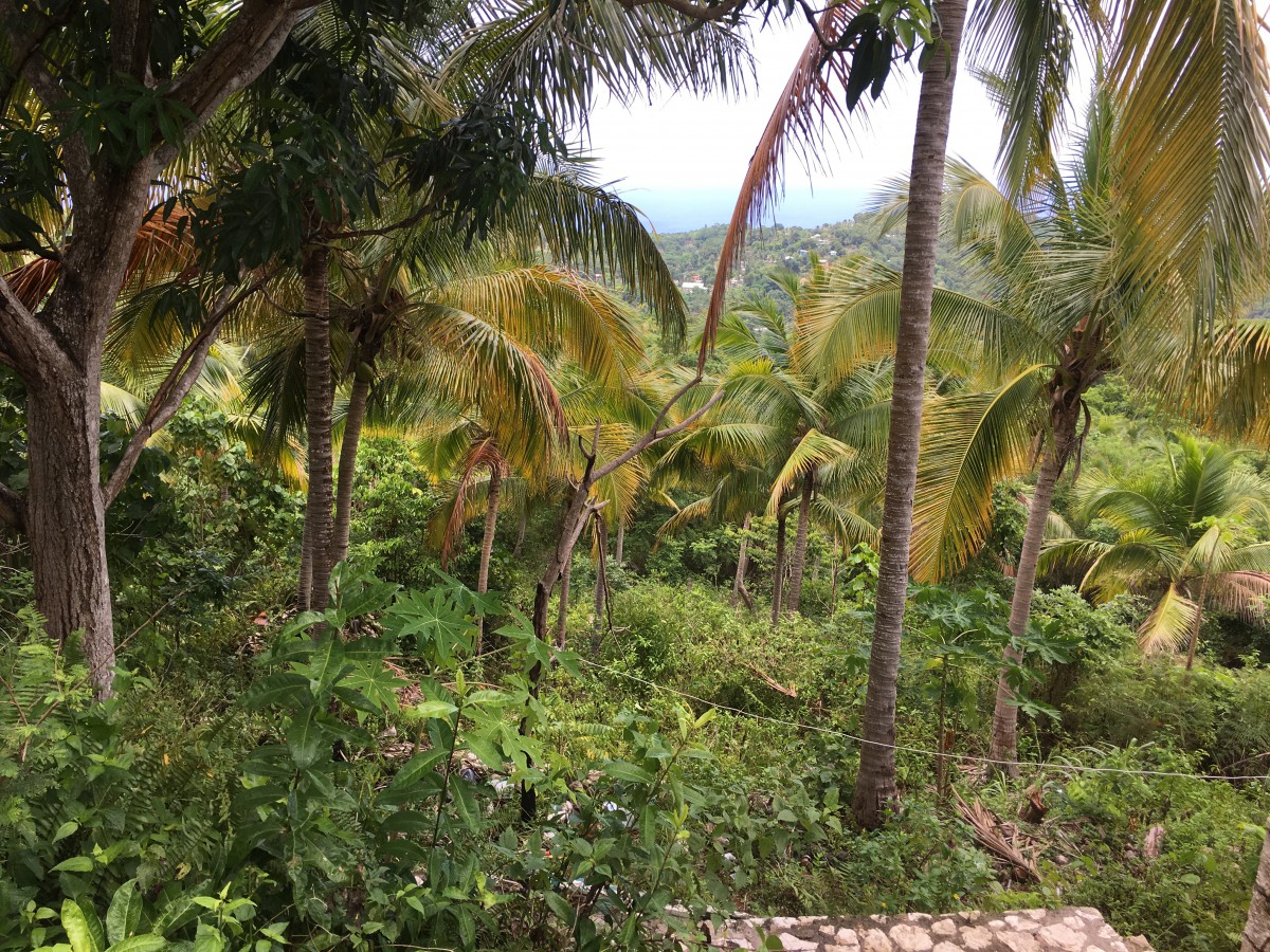 Residential lot For Sale in Sandy Bay, Hanover Jamaica