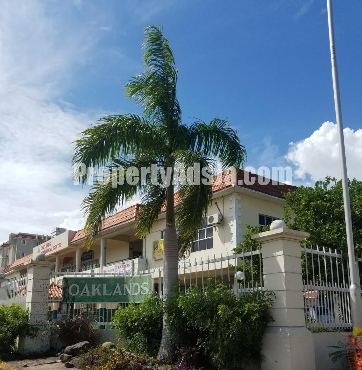Apartment For Rent in Oaklands Apartment, Kingston / St. Andrew Jamaica