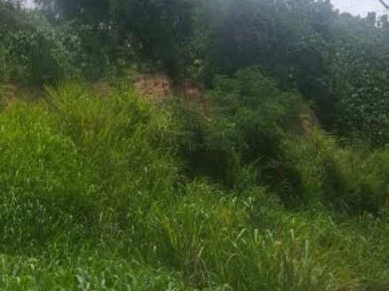 Residential lot For Sale in Jacks Hill, Kingston / St. Andrew Jamaica