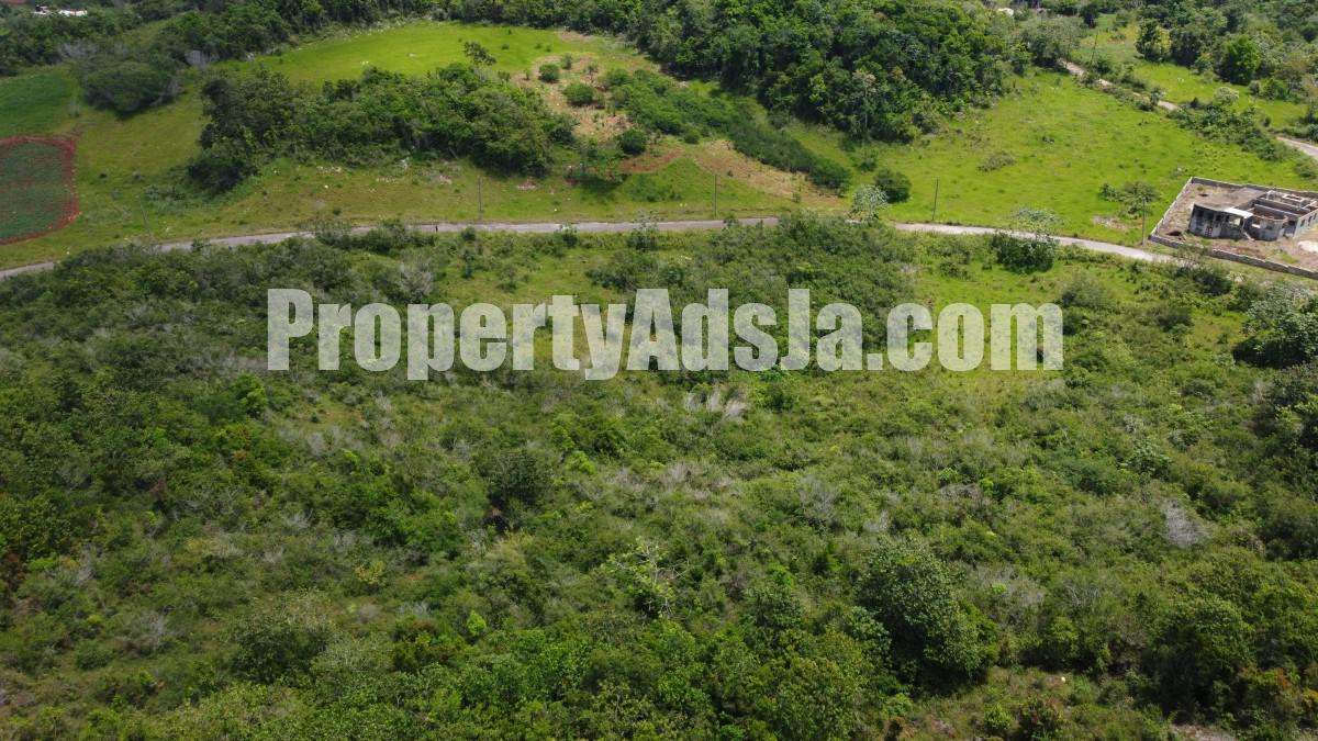 Land For Sale in New Wales, Manchester Jamaica