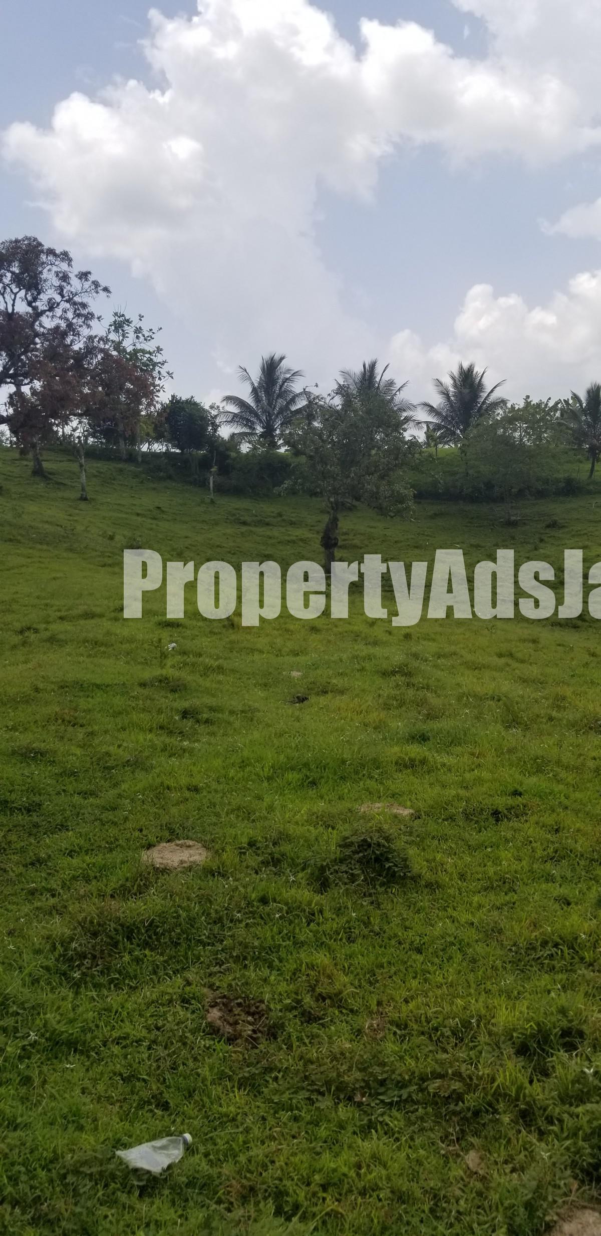 Residential lot For Sale in Seaford TownGerman Town, Westmoreland