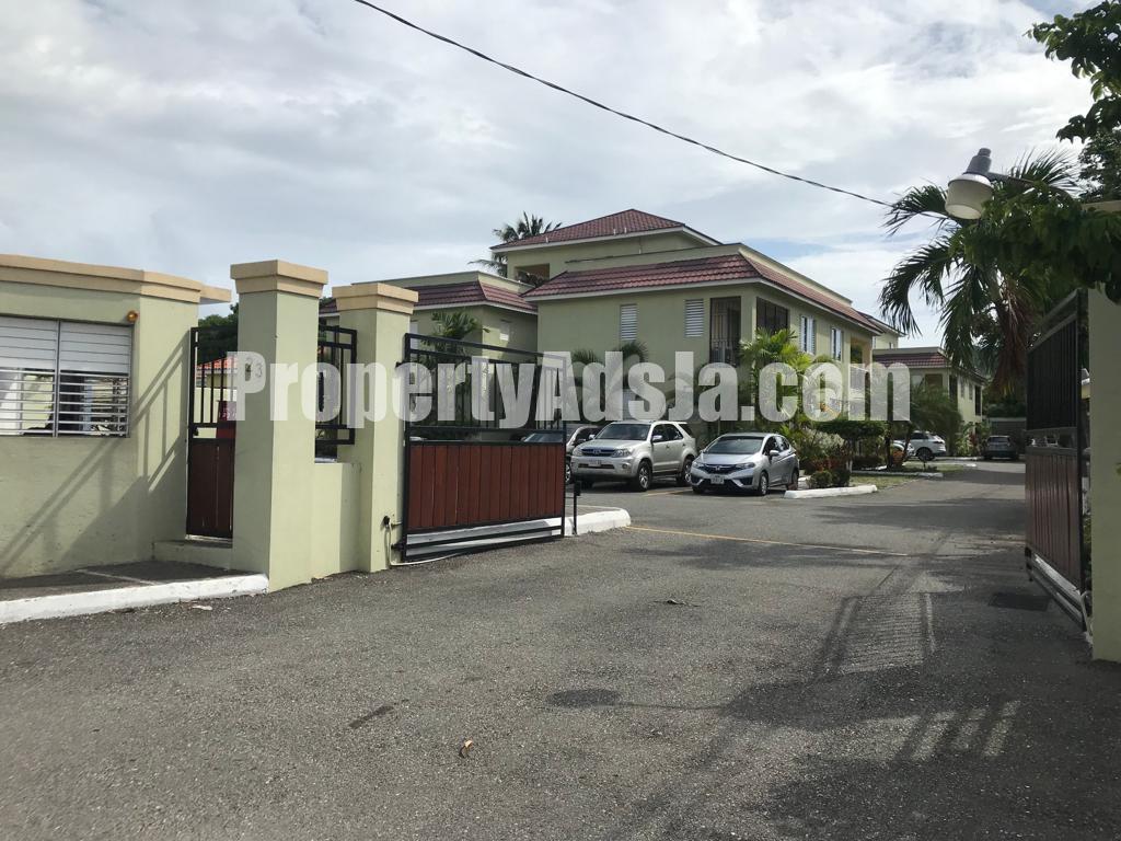 Apartment For Rent in Kingston 6, Kingston / St. Andrew Jamaica