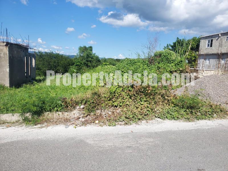 Residential lot For Sale in Longville Park, Clarendon Jamaica