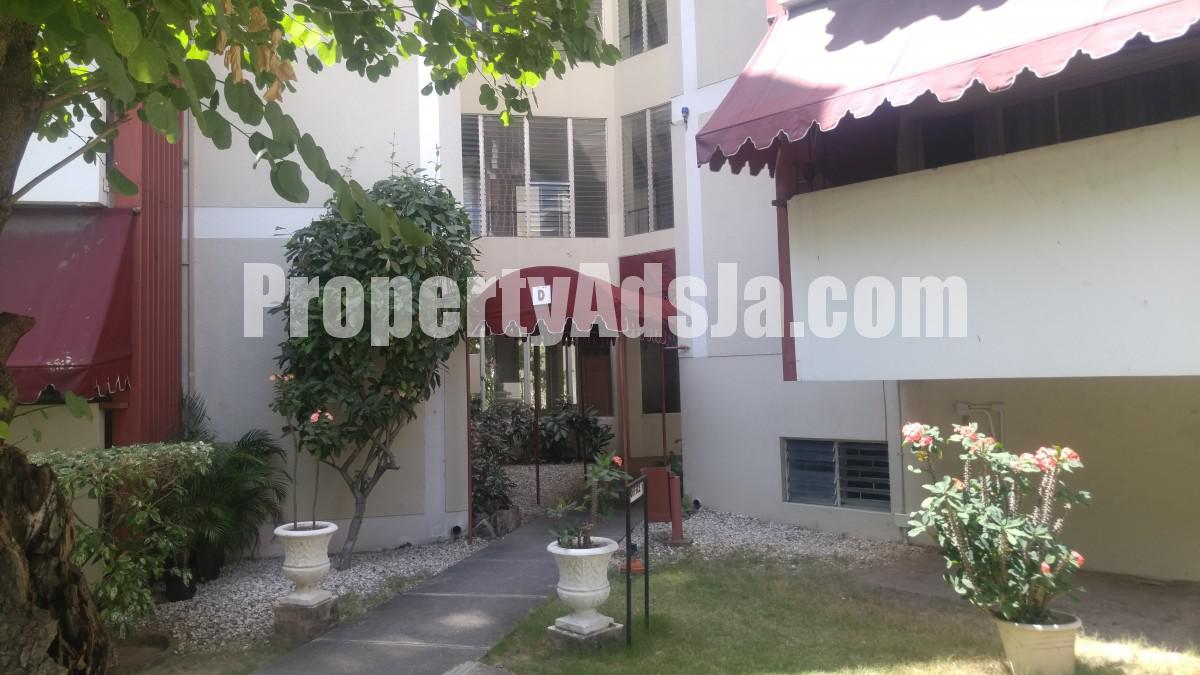 Apartment For Rent in New Kingston Area, Kingston / St. Andrew Jamaica