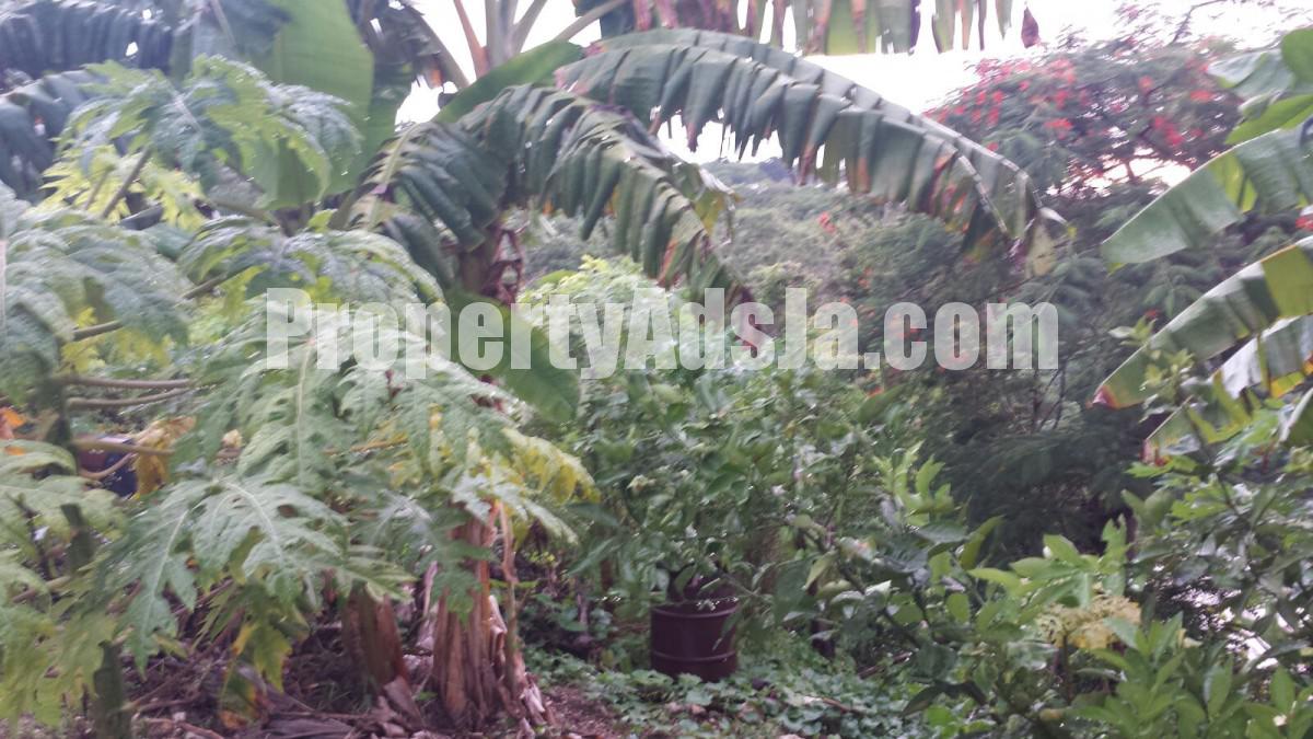 Commercial/farm land For Sale in Anchovy, St. James Jamaica