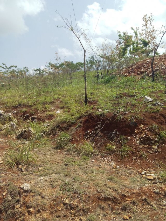 Residential lot For Sale in Plantation heights, Kingston / St. Andrew