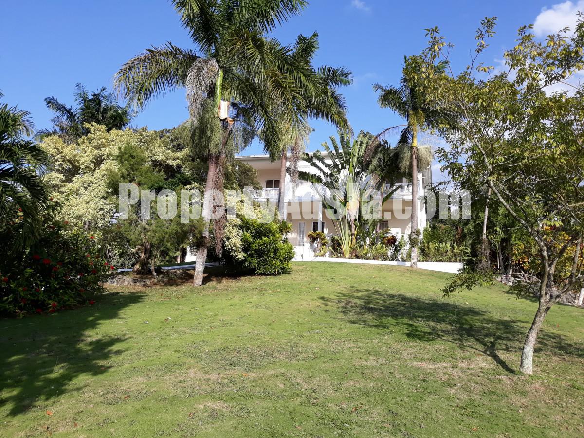 For Sale in Green Island, Hanover Jamaica