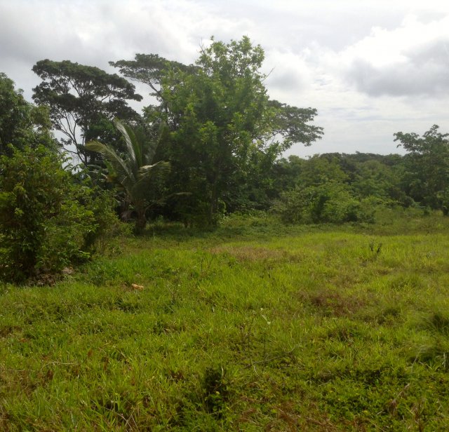 Residential lot For Sale in Bonham Spring, St. Ann Jamaica