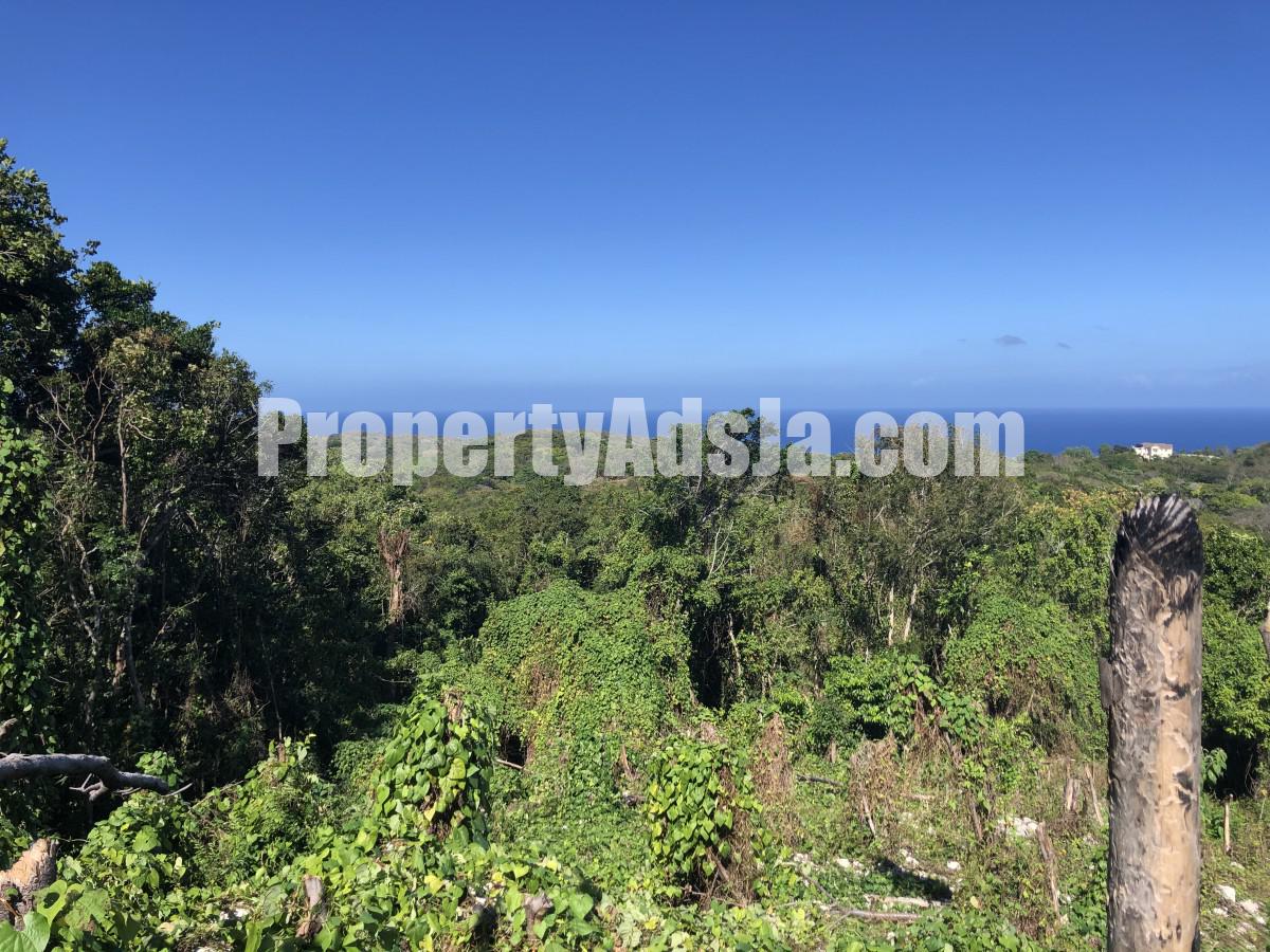 Commercial/farm land For Sale in Lances Bay, Hanover Jamaica