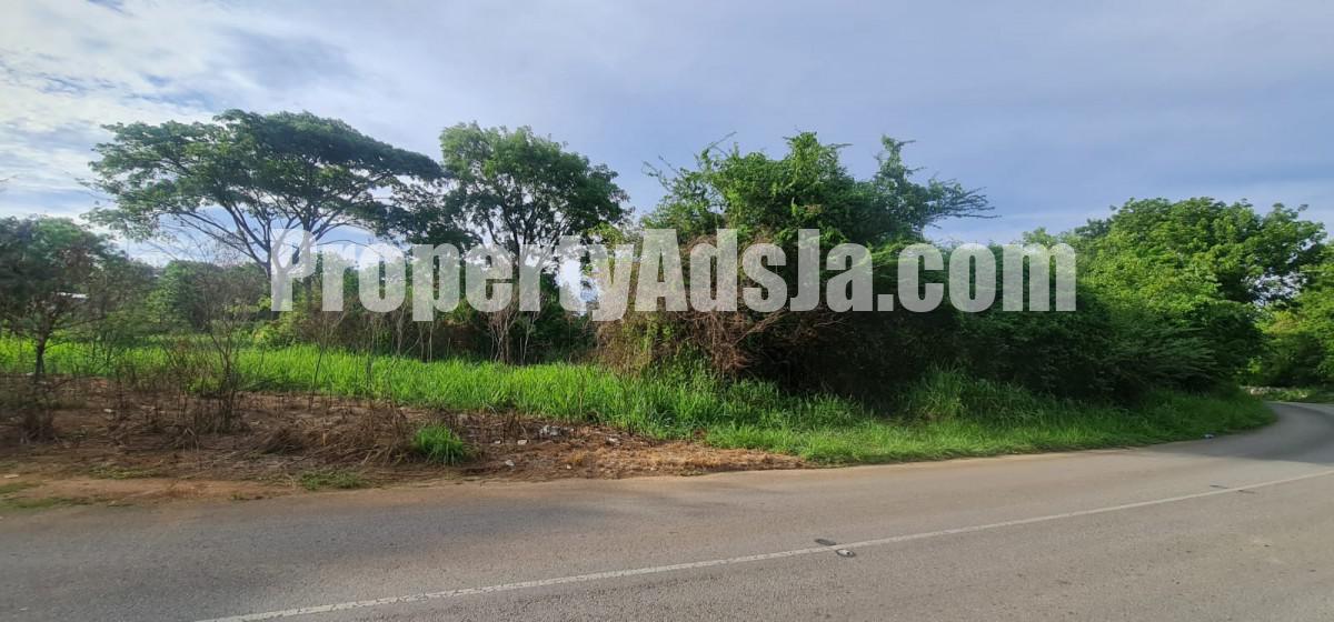 Land For Sale in Silver Sands, Trelawny Jamaica