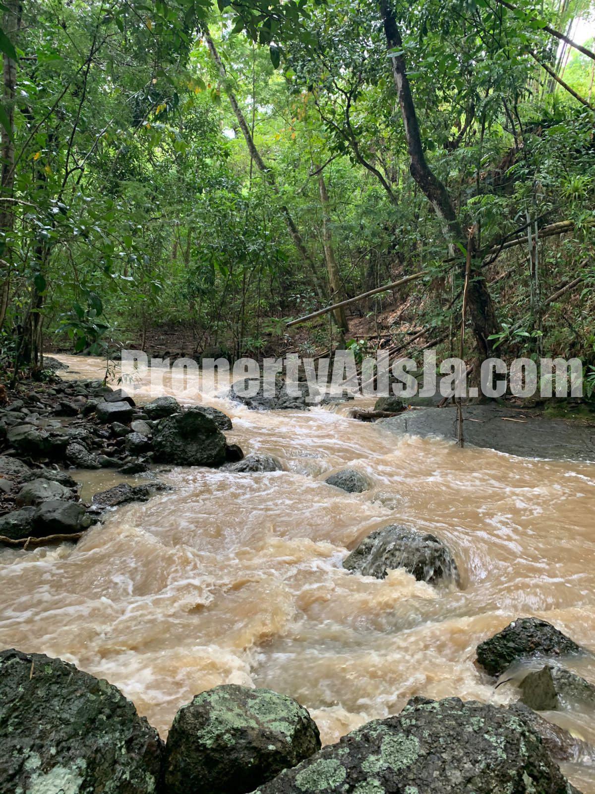 Commercial/farm land For Sale in GREEN ISLAND, Hanover Jamaica