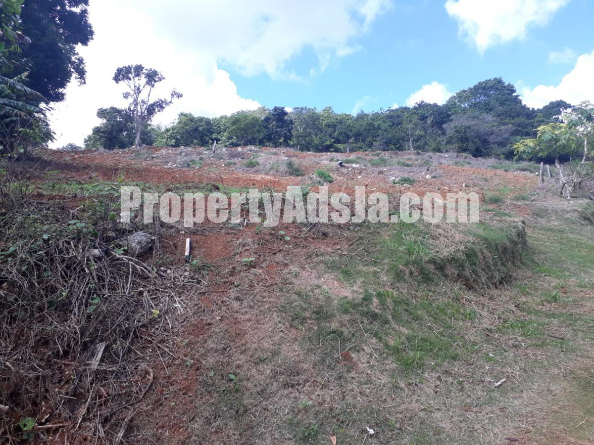 Land For Sale in Christiana, Manchester Jamaica