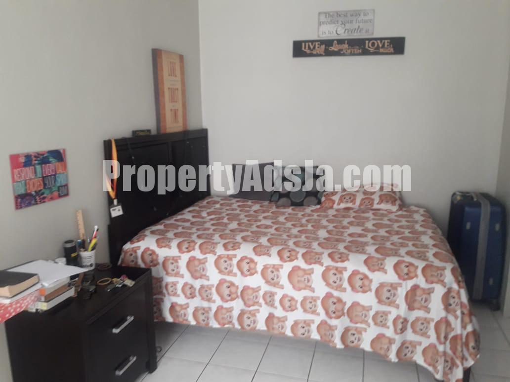 Apartment For Rent in Mona, Kingston / St. Andrew Jamaica