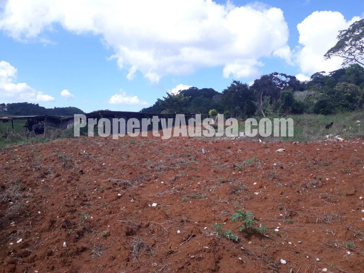 Land For Sale in Christiana, Manchester Jamaica