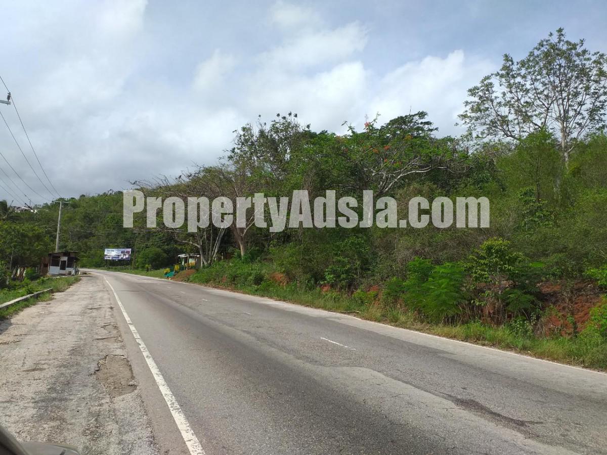 Commercial land For Sale in Spur Tree, Manchester Jamaica