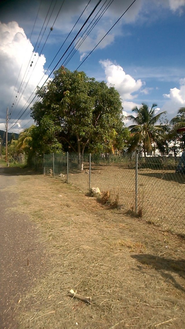 House For Rent in Toll Gate, Clarendon Jamaica