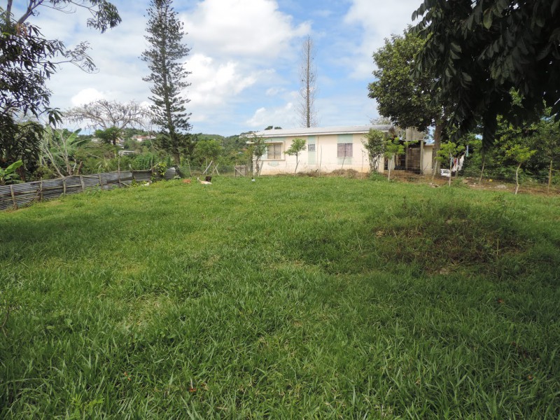 Residential lot For Sale in MANDEVILLE, Manchester Jamaica
