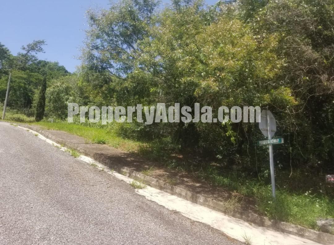 Residential lot For Sale in MOORLANDS, Manchester Jamaica