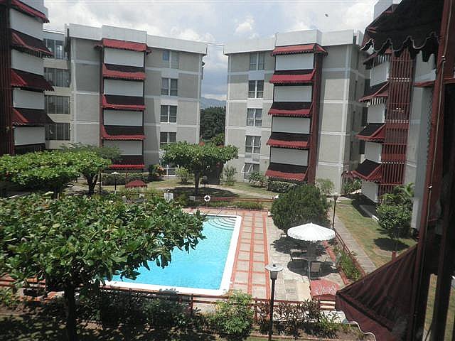 Apartment For Rent In Abbey Court Kingston St Andrew Jamaica Apartment For Rent In Abbey Court Kingston St Andrew Jamaica
