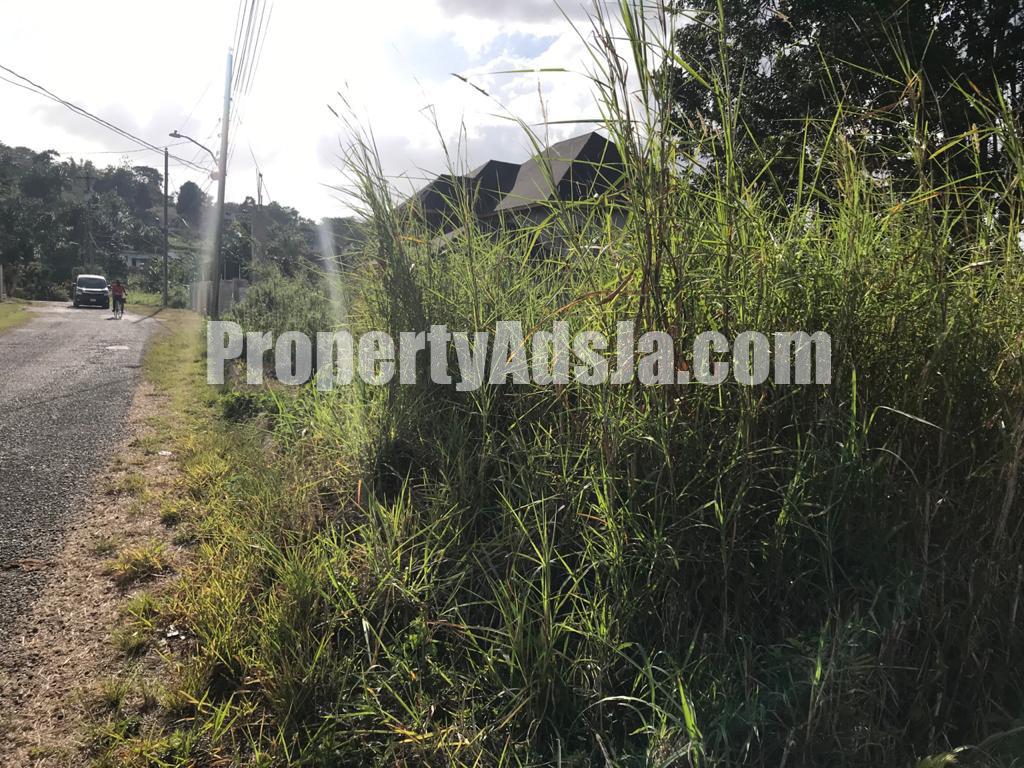 Residential lot For Sale in Darliston, Westmoreland Jamaica